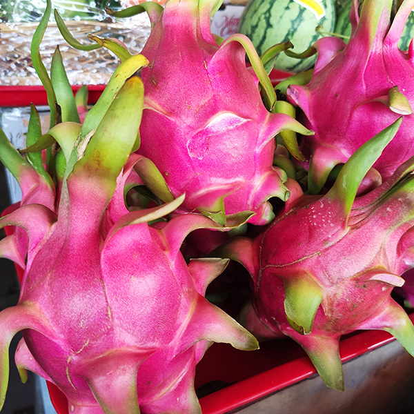 Thanh long (1 trái)